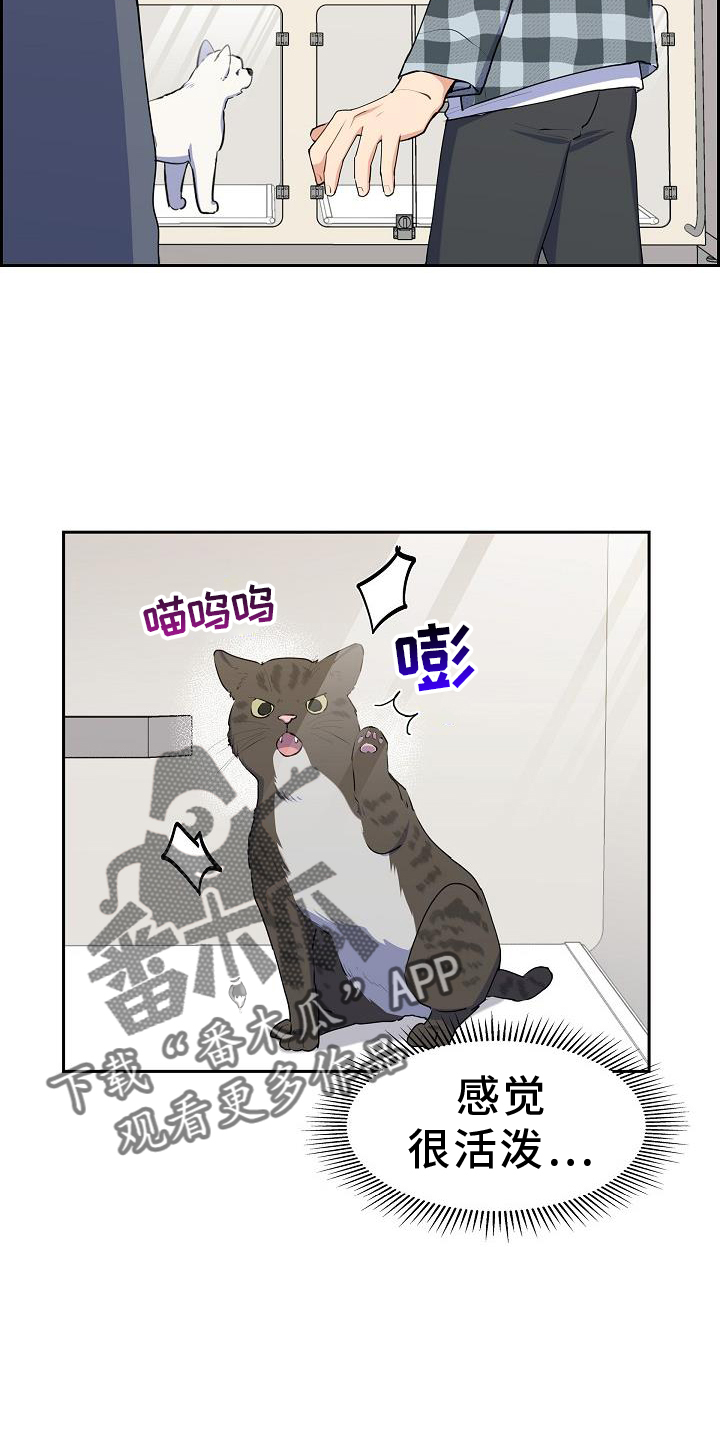 再相会漫画,第44话2图