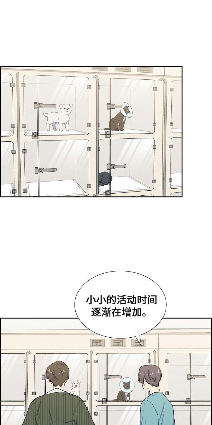 再相会漫画,第49话1图