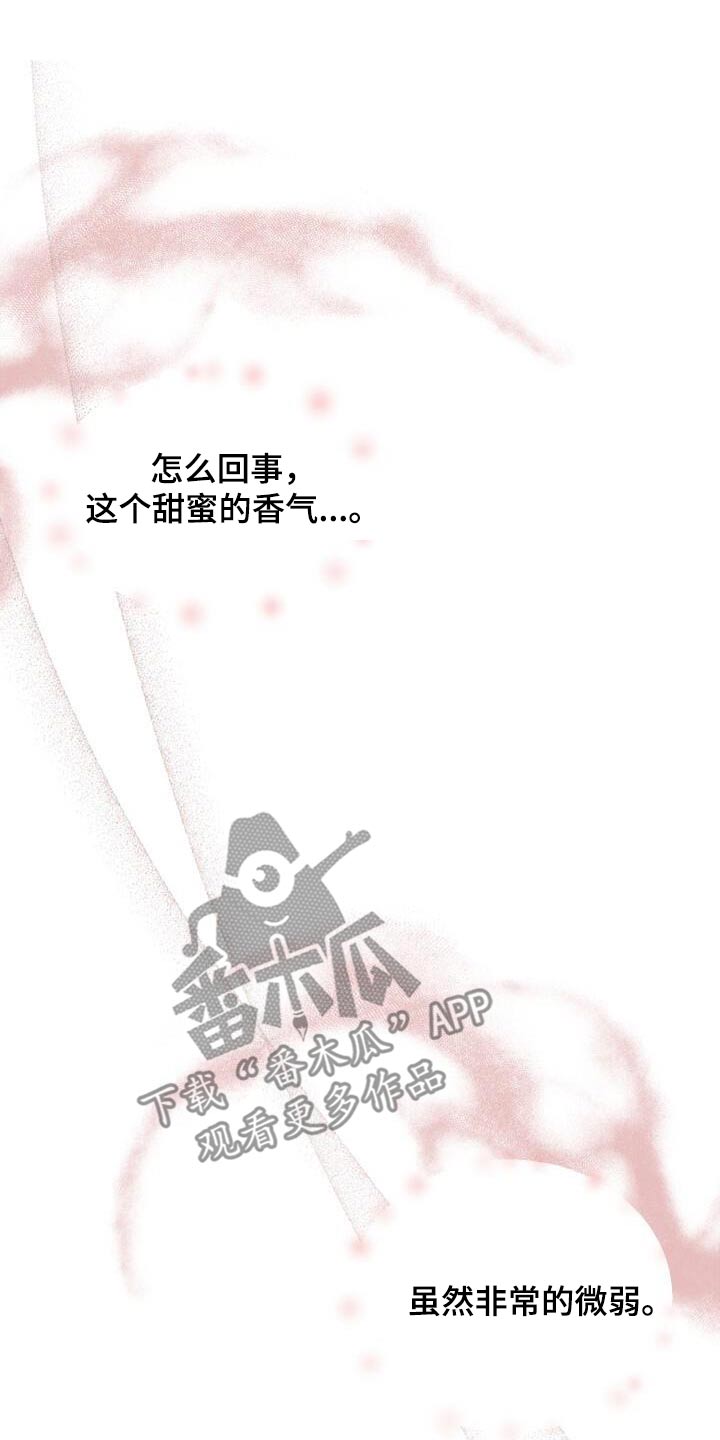 绝对优势和相对优势分别是什么意思漫画,第34话1图