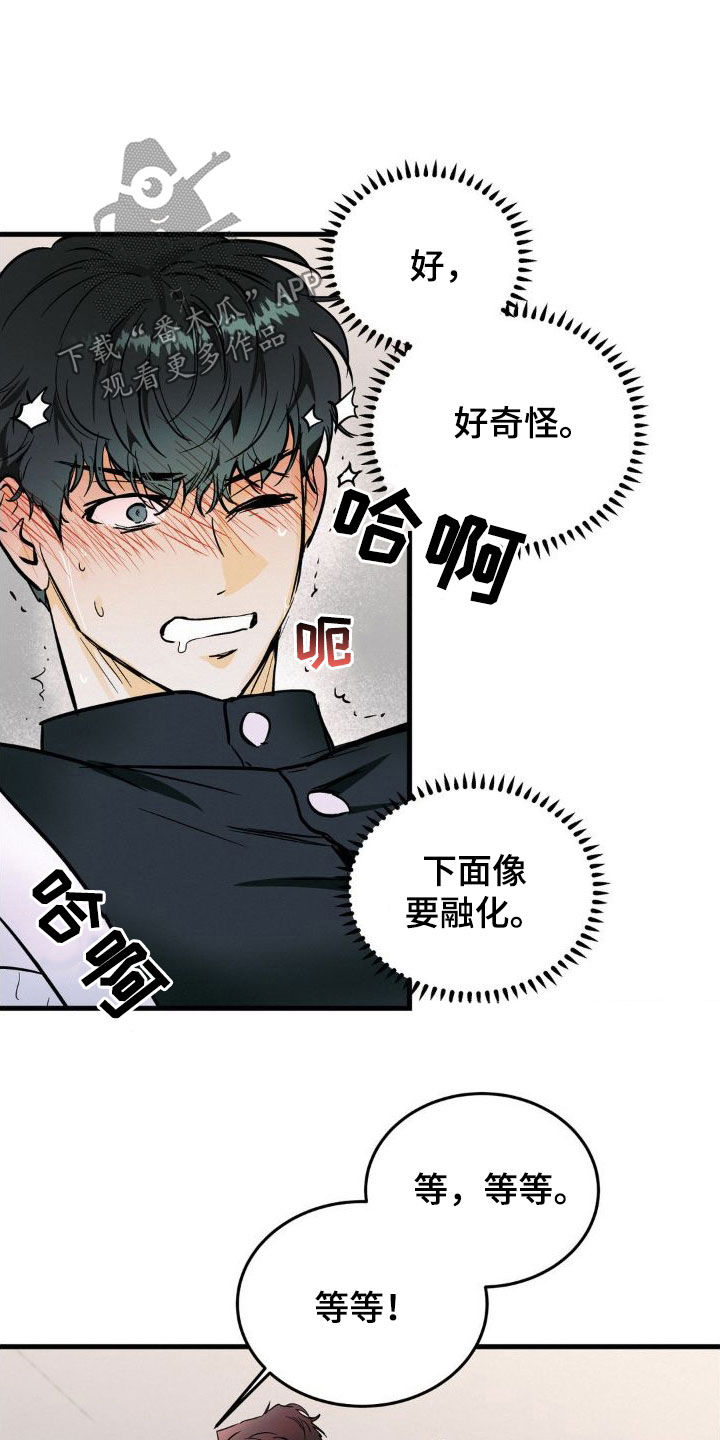 疯狂迷恋漫画,第20章：挺合适2图