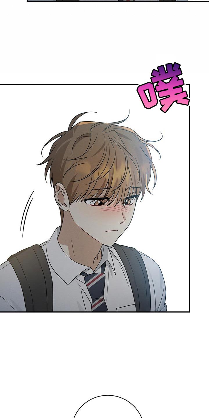 梅糖之恋漫画,第69话1图
