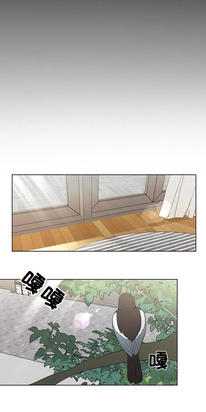 鹊蛇之争漫画,第46话1图