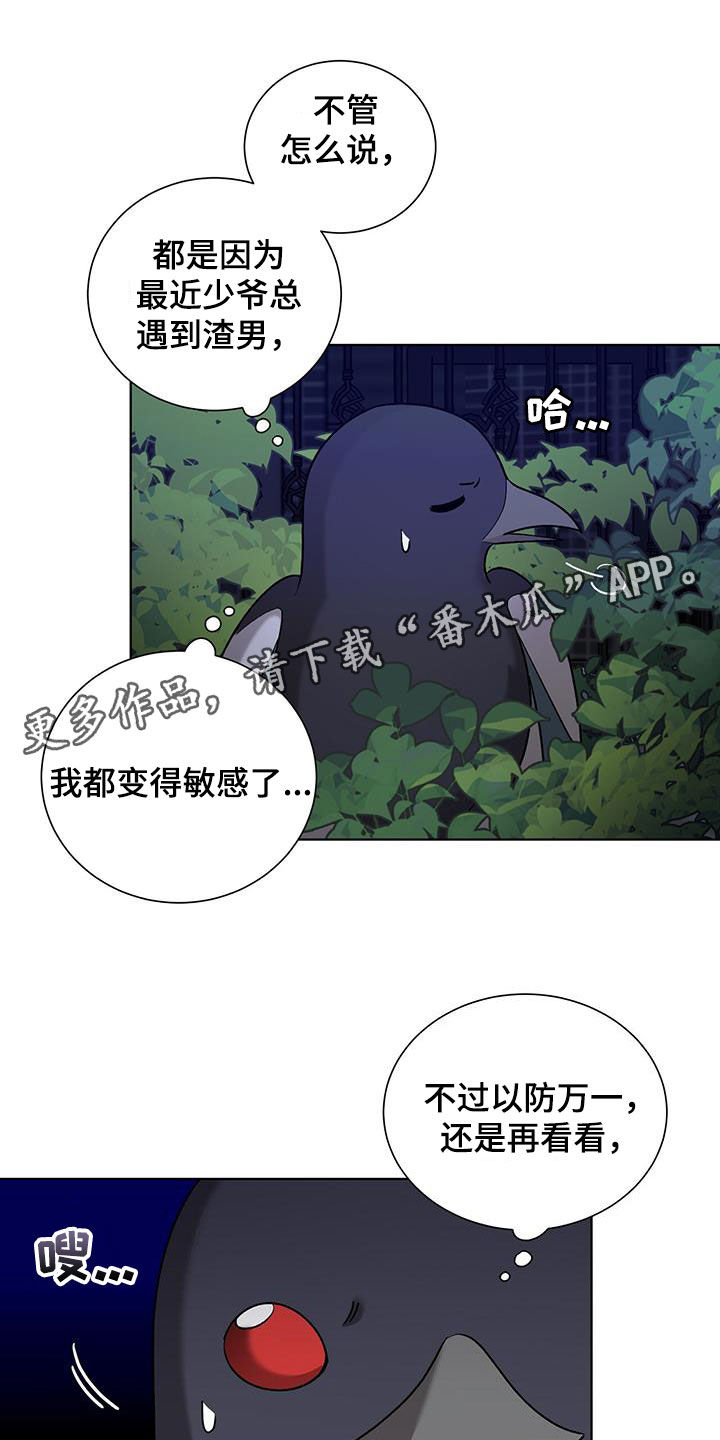 鹊蛇之争韩漫解说漫画,第24话1图