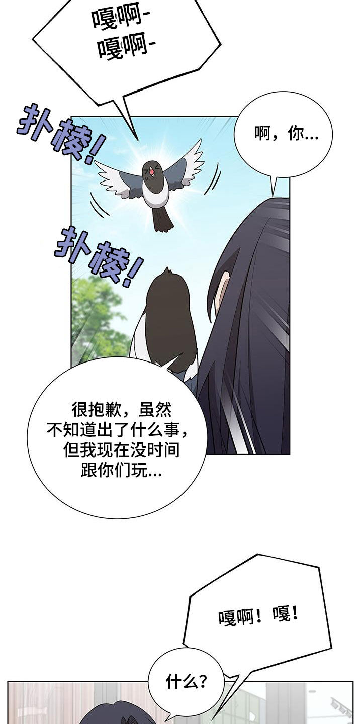 鹊山鸡简介漫画,第20话2图