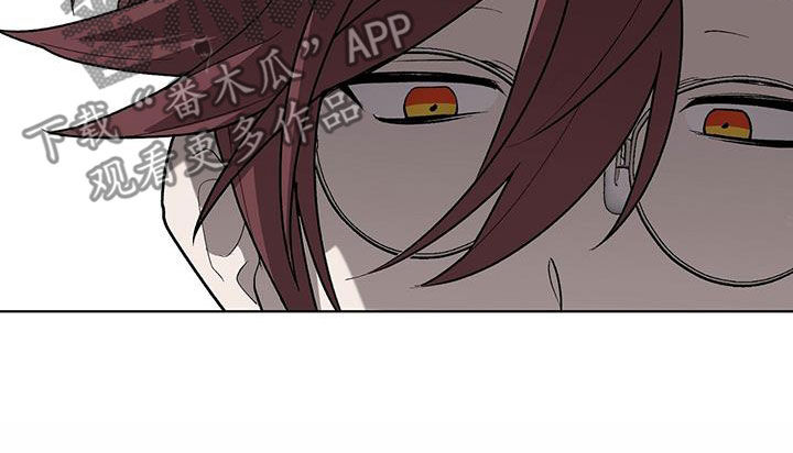 鹊蛇之争漫画,第36章：可笑1图