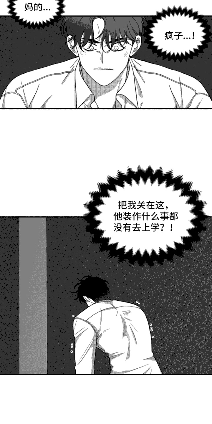 疯狂禁锢漫画在哪里看完整版的漫画,第11话2图