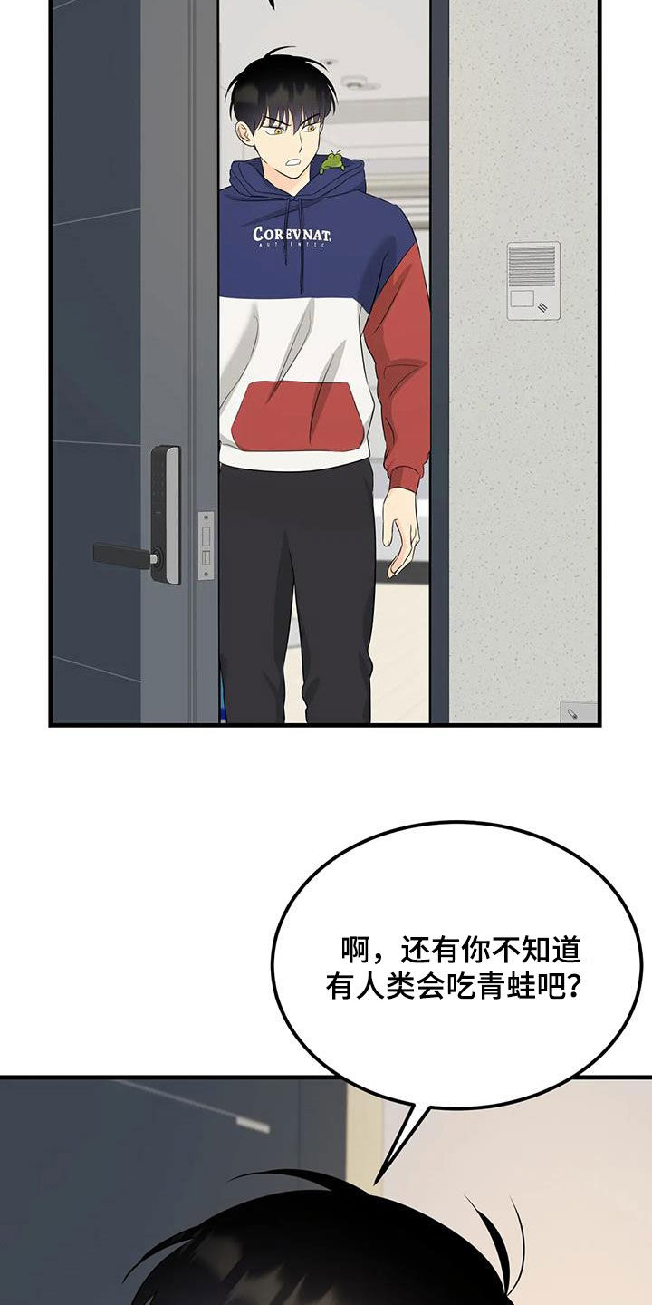 神仙配合漫画,第26章：帽子里有青蛙2图