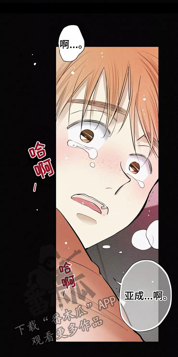 念念不忘再遇见漫画,第19话1图
