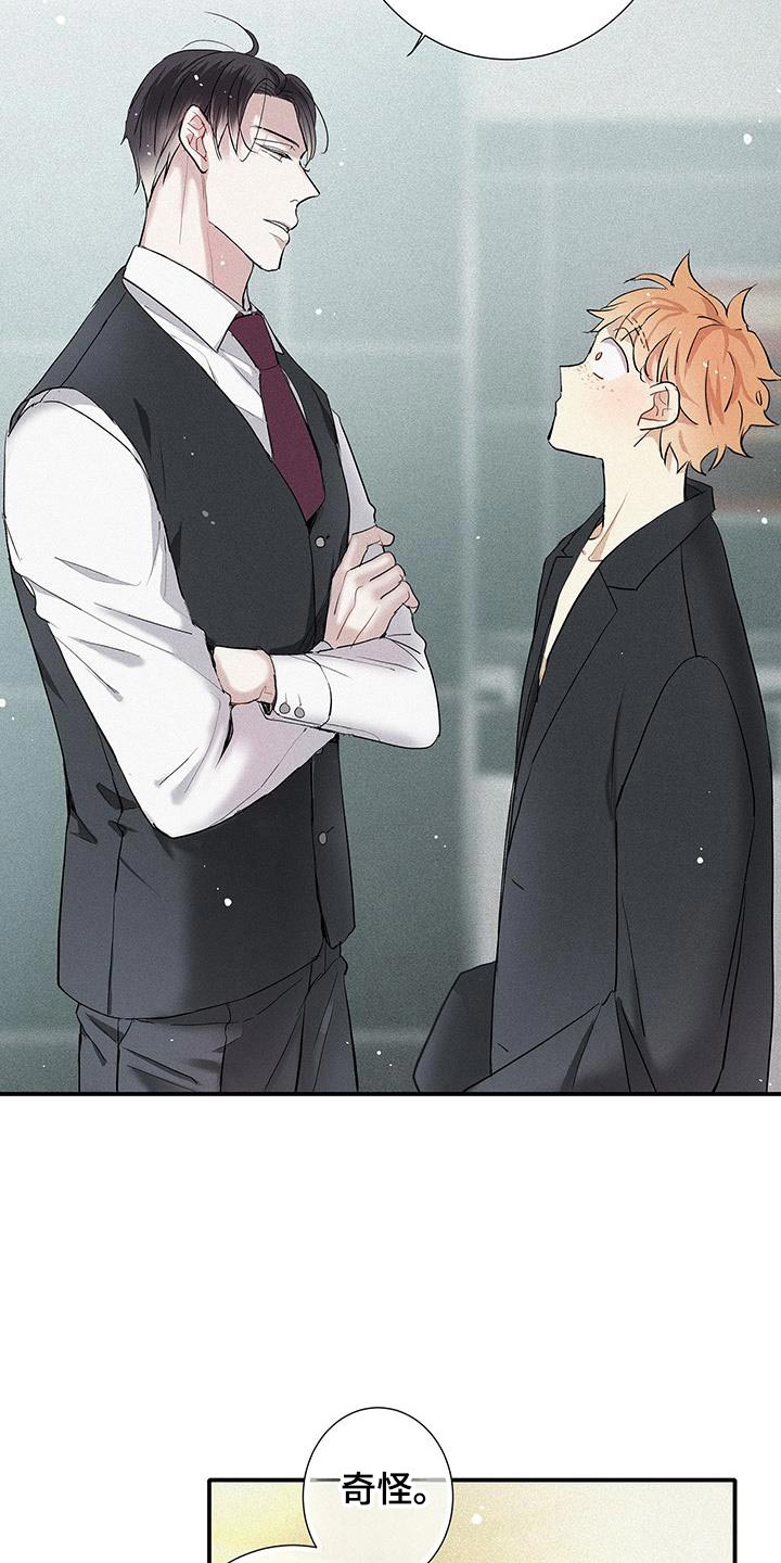 念念不忘小说阅读漫画,第46话1图