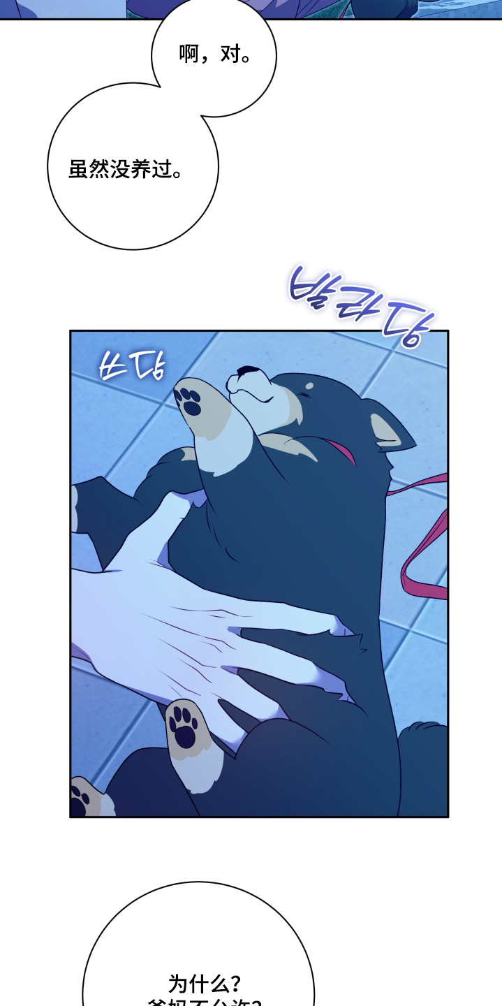 恋爱手游的男主都很危险全集漫画,第74话1图