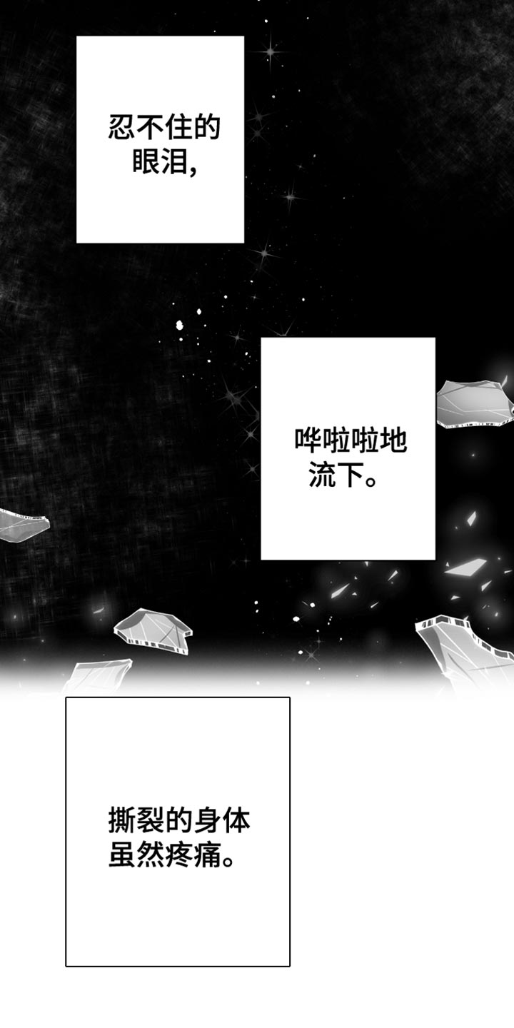 狂乱欺压的英文名漫画,第30章：一直喜欢你1图