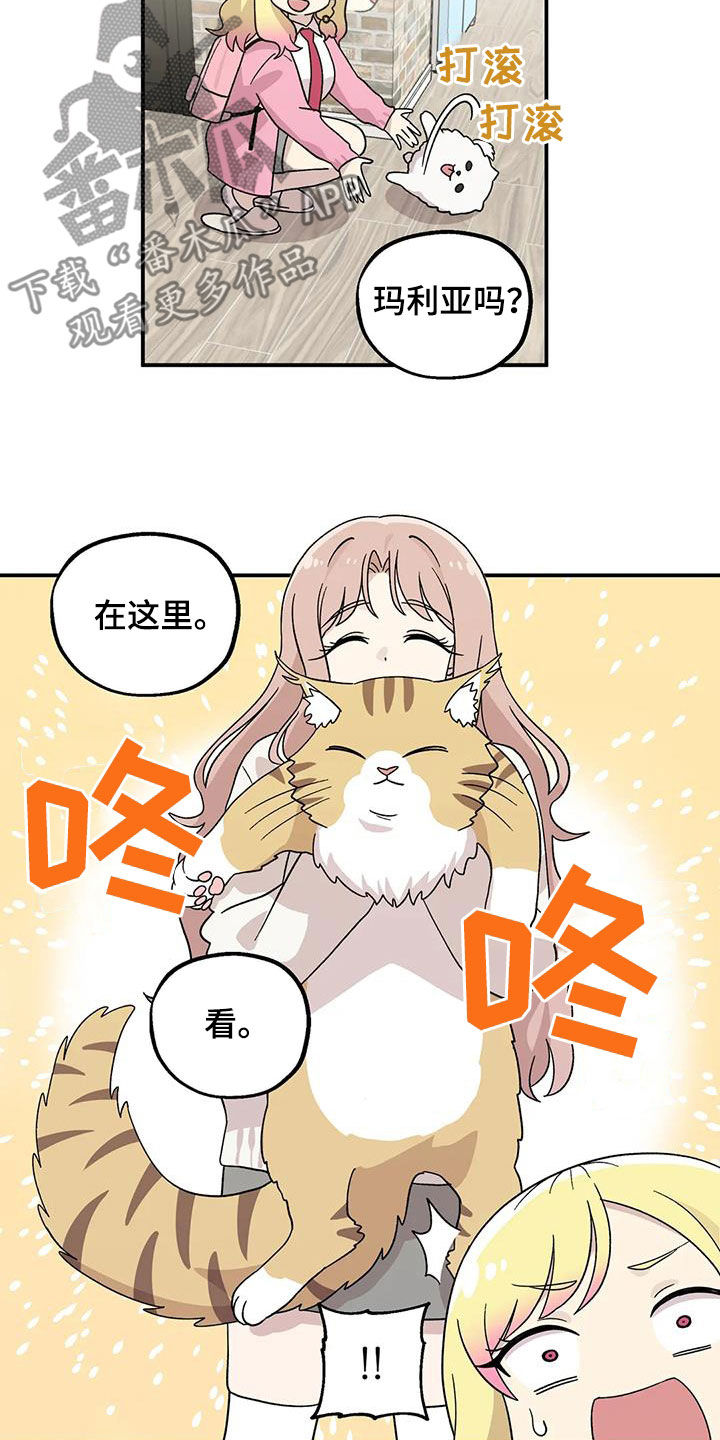 向日葵的影子在路上漫画,第49章：还是老样子1图