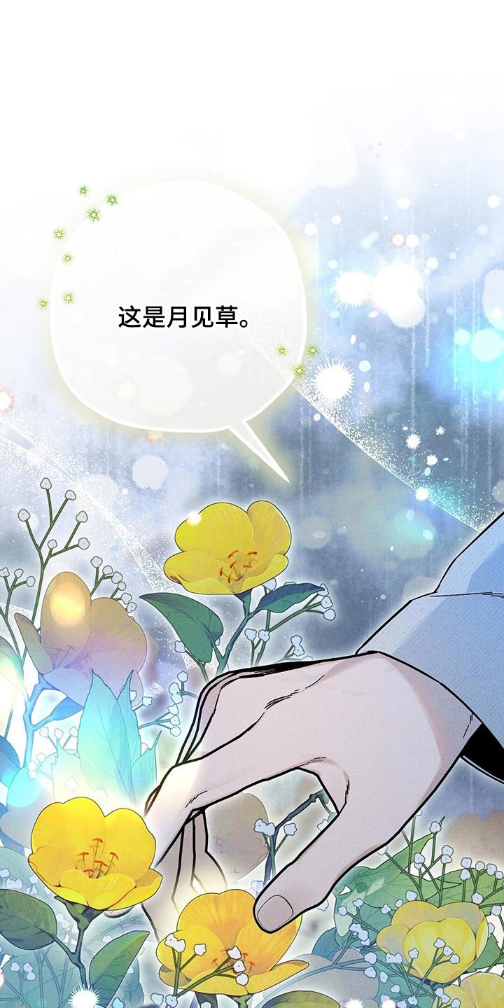 皇帝的新装漫画,第37话1图