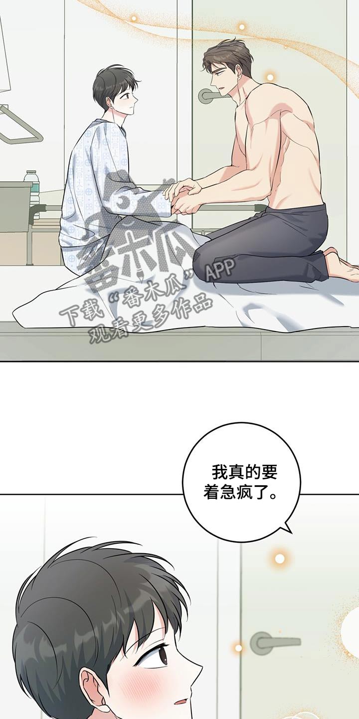 温情之森漫画免费阅读漫画,第79话1图