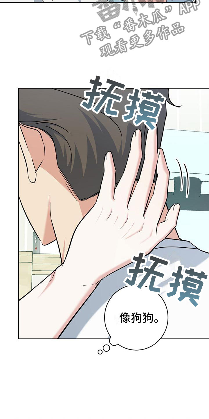 温情之森漫画美图漫画,第9话1图