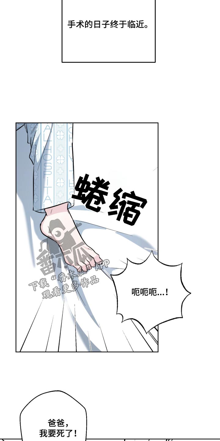 温情之森怀孕漫画,第108话2图