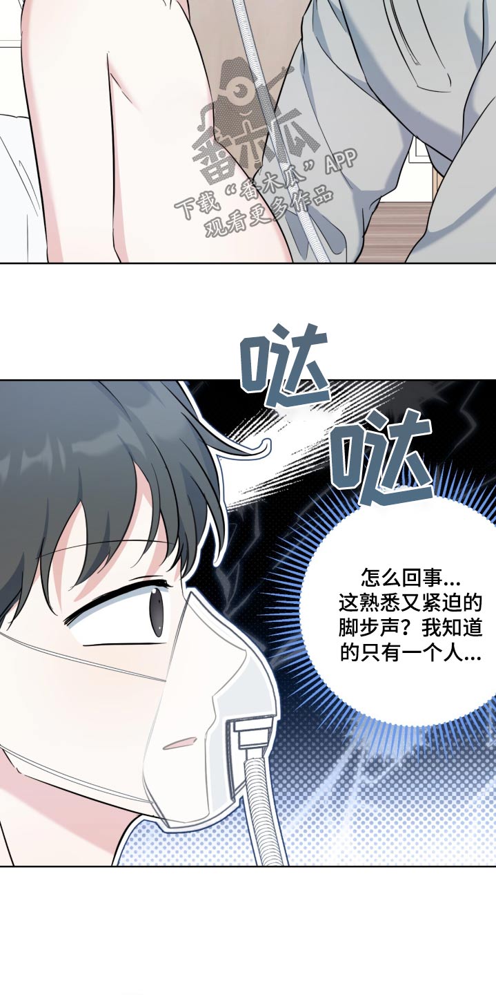 温情之森大结局漫画,第105话2图