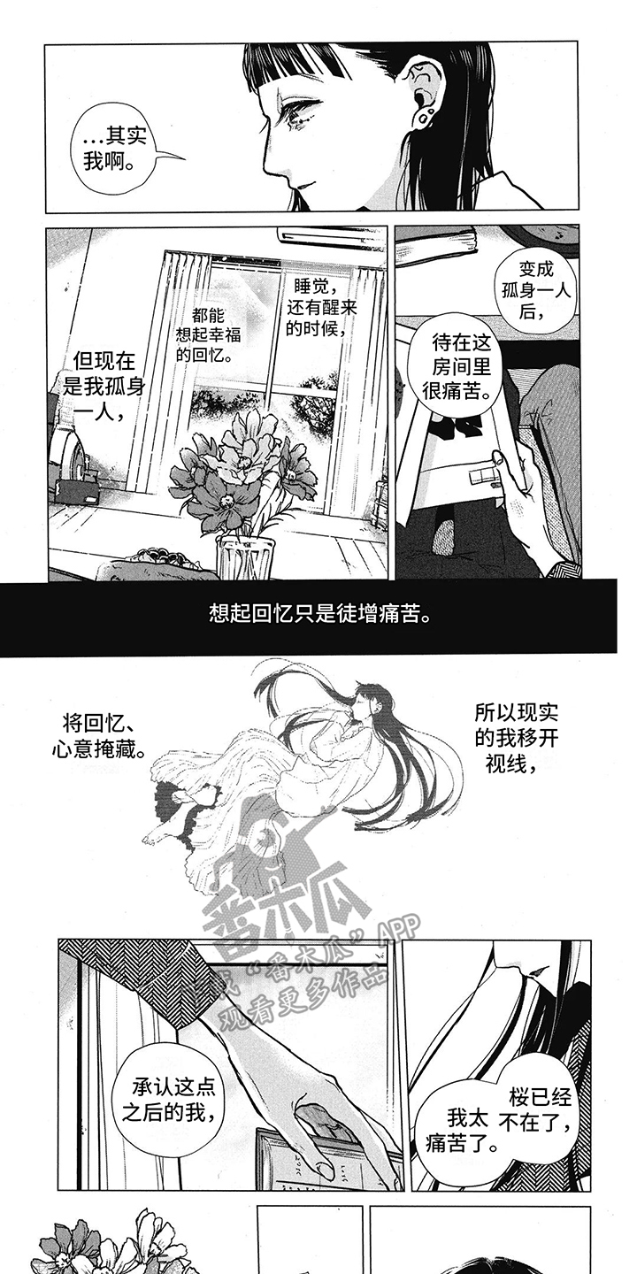 樱花盛开怎么写漫画,第24话1图