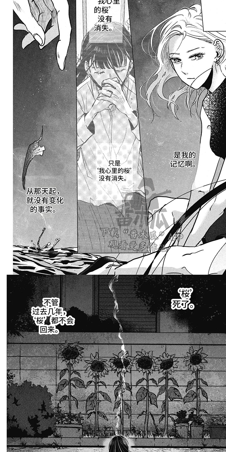 樱花盛开的美景漫画,第21话2图