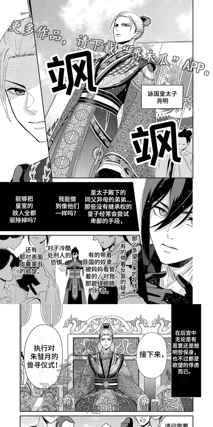 雏菊的花语和寓意漫画,第6话1图