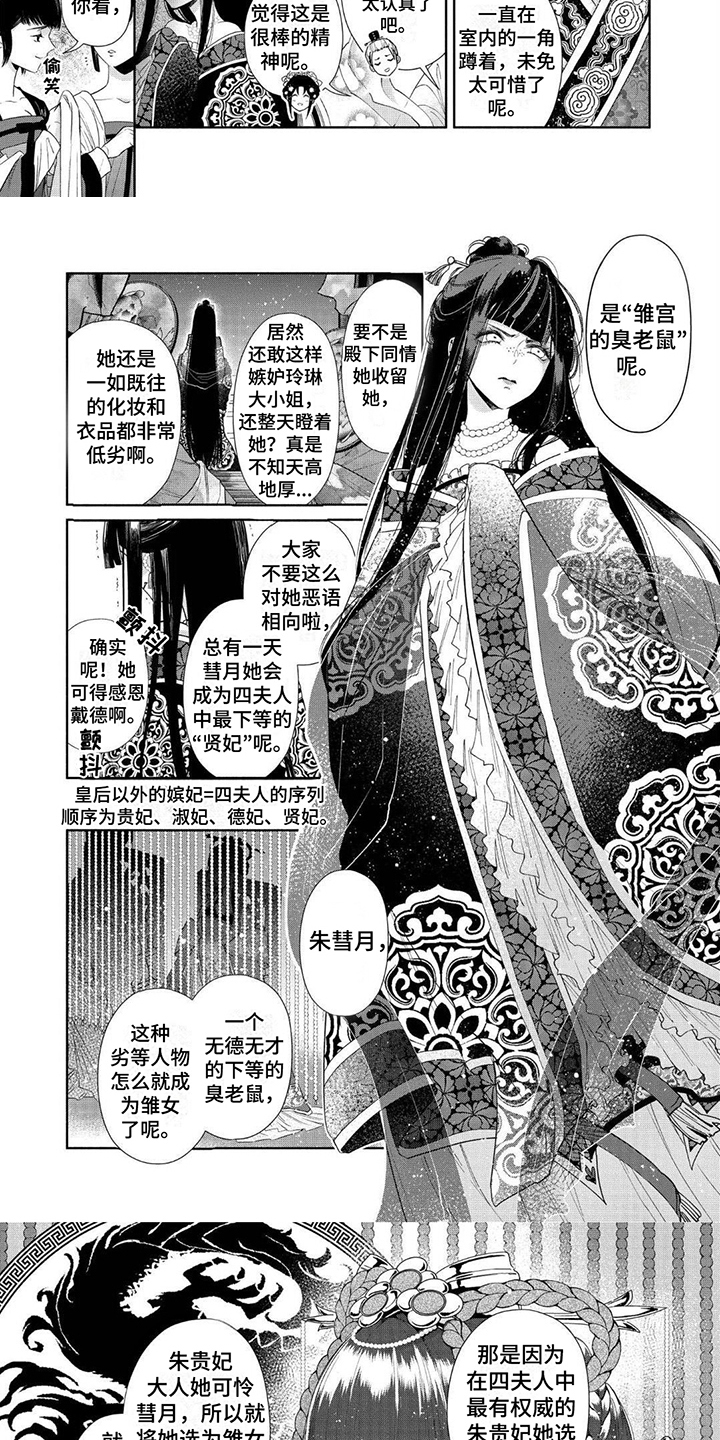 雏菊的花语和寓意漫画,第2话1图