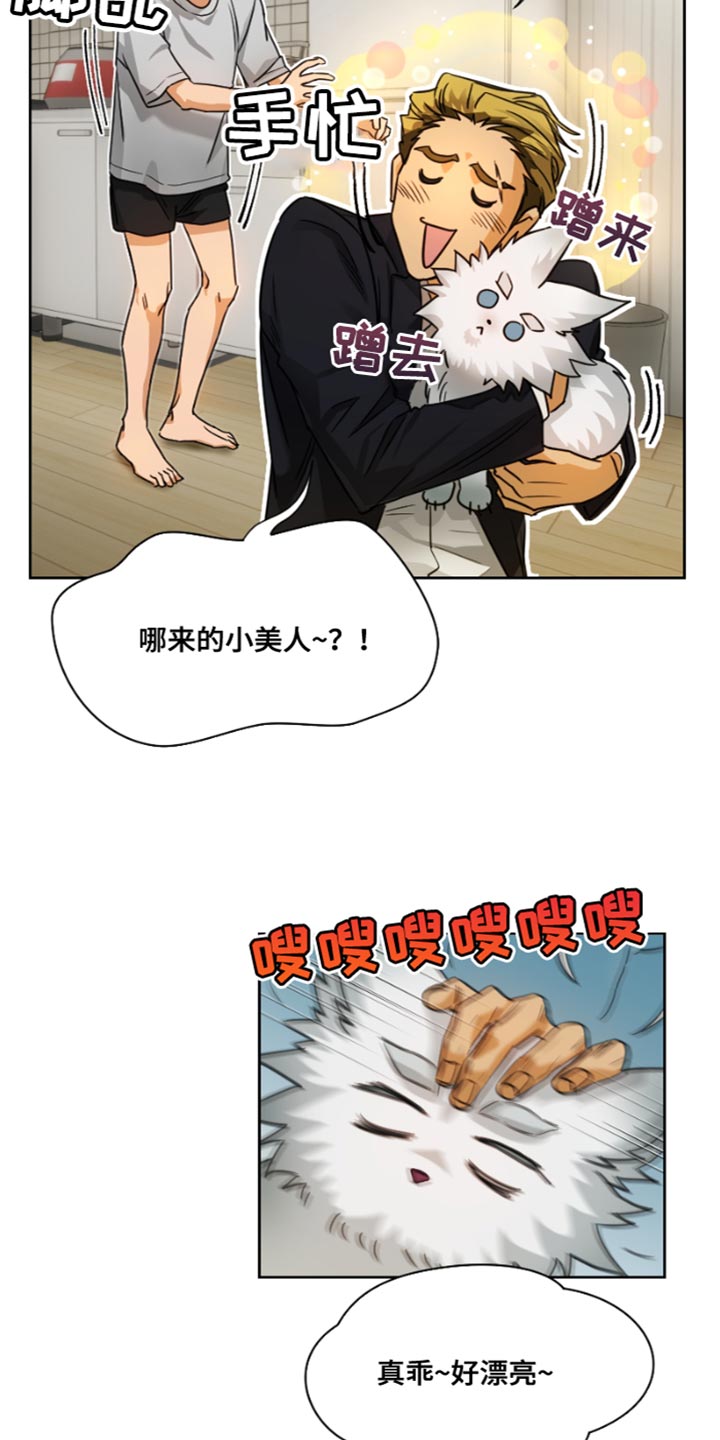 供养誓约漫画免费入口漫画,第18章：真是无礼1图