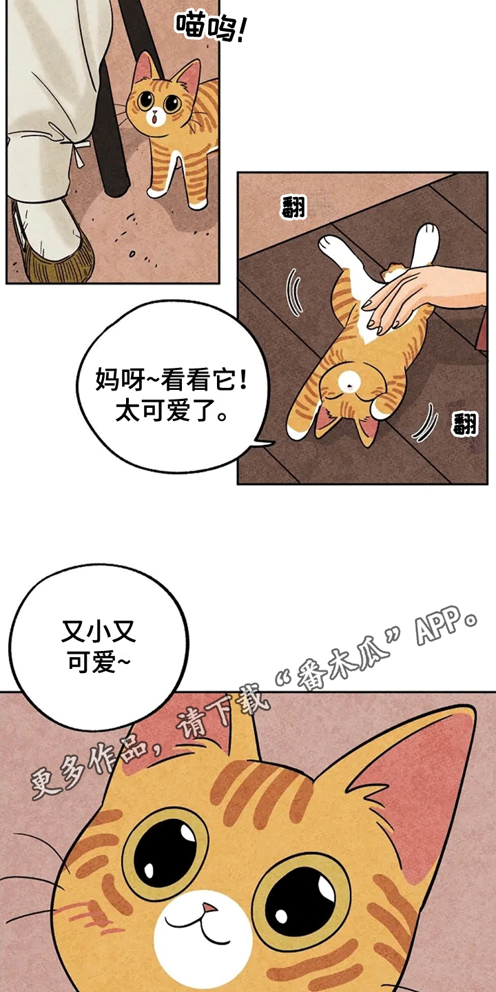 金福南真实的故事内容漫画,第61话1图