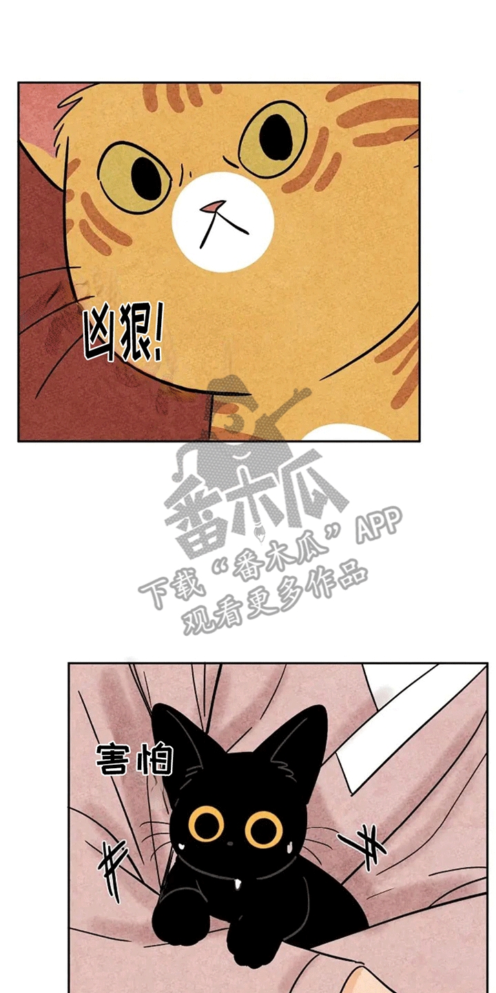 靳福德漫画,第74话1图