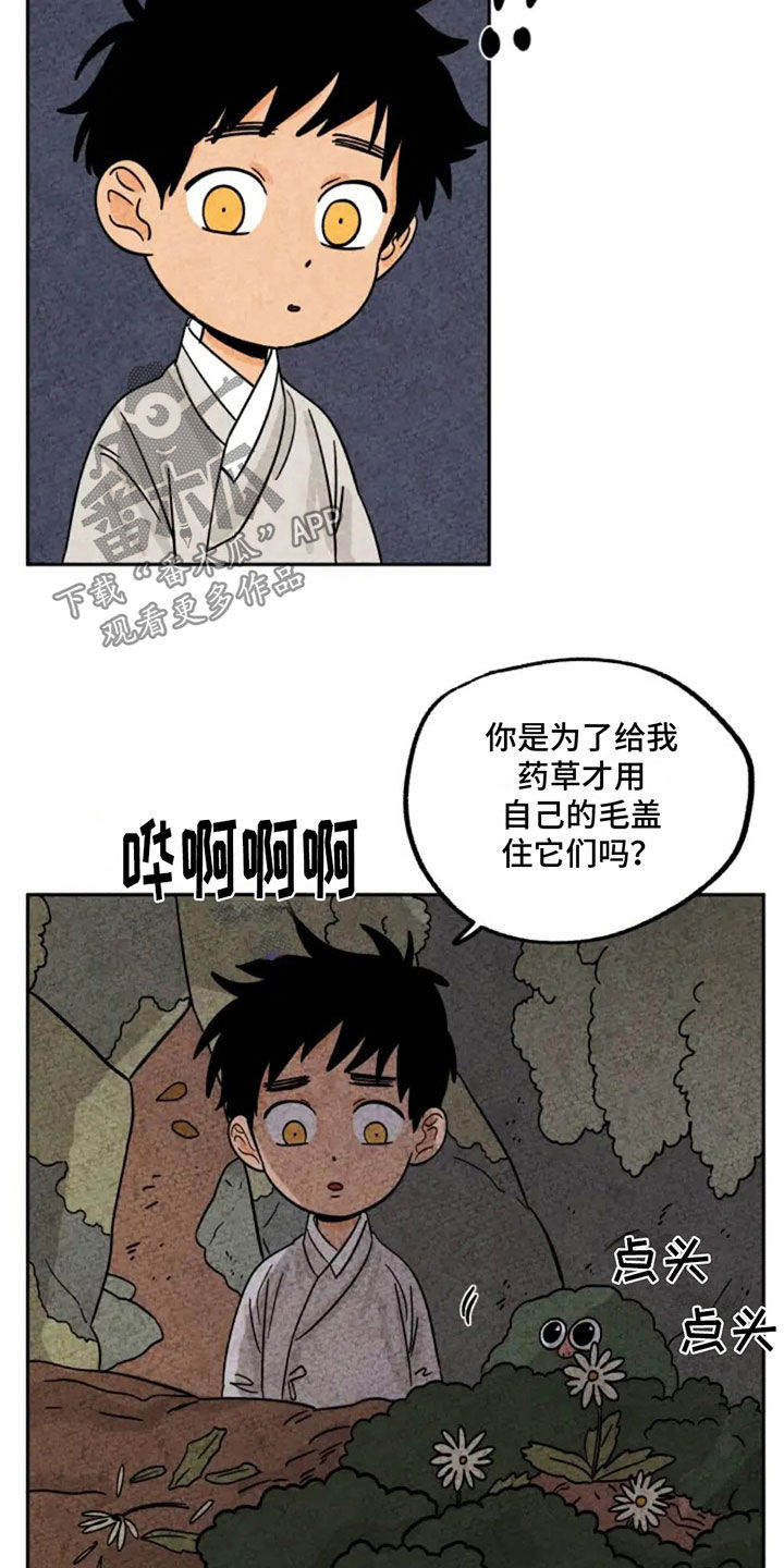 金福的故事漫画多少章漫画,第95话1图