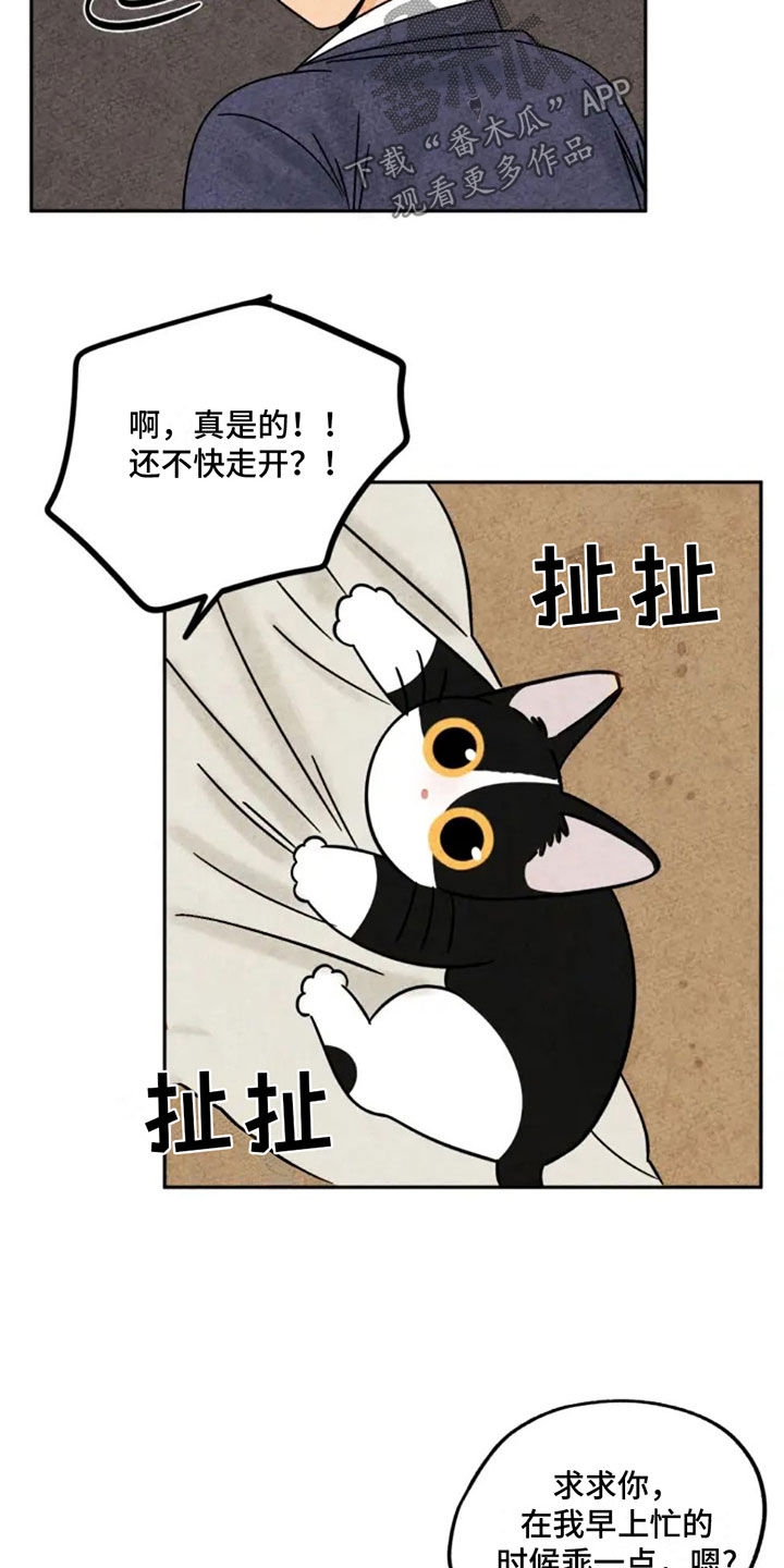 金福的英语怎么读漫画,第92话1图