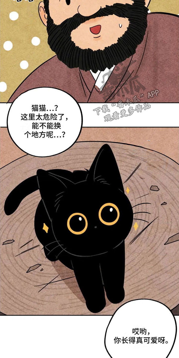 伞金福简介漫画,第80章：无辜2图