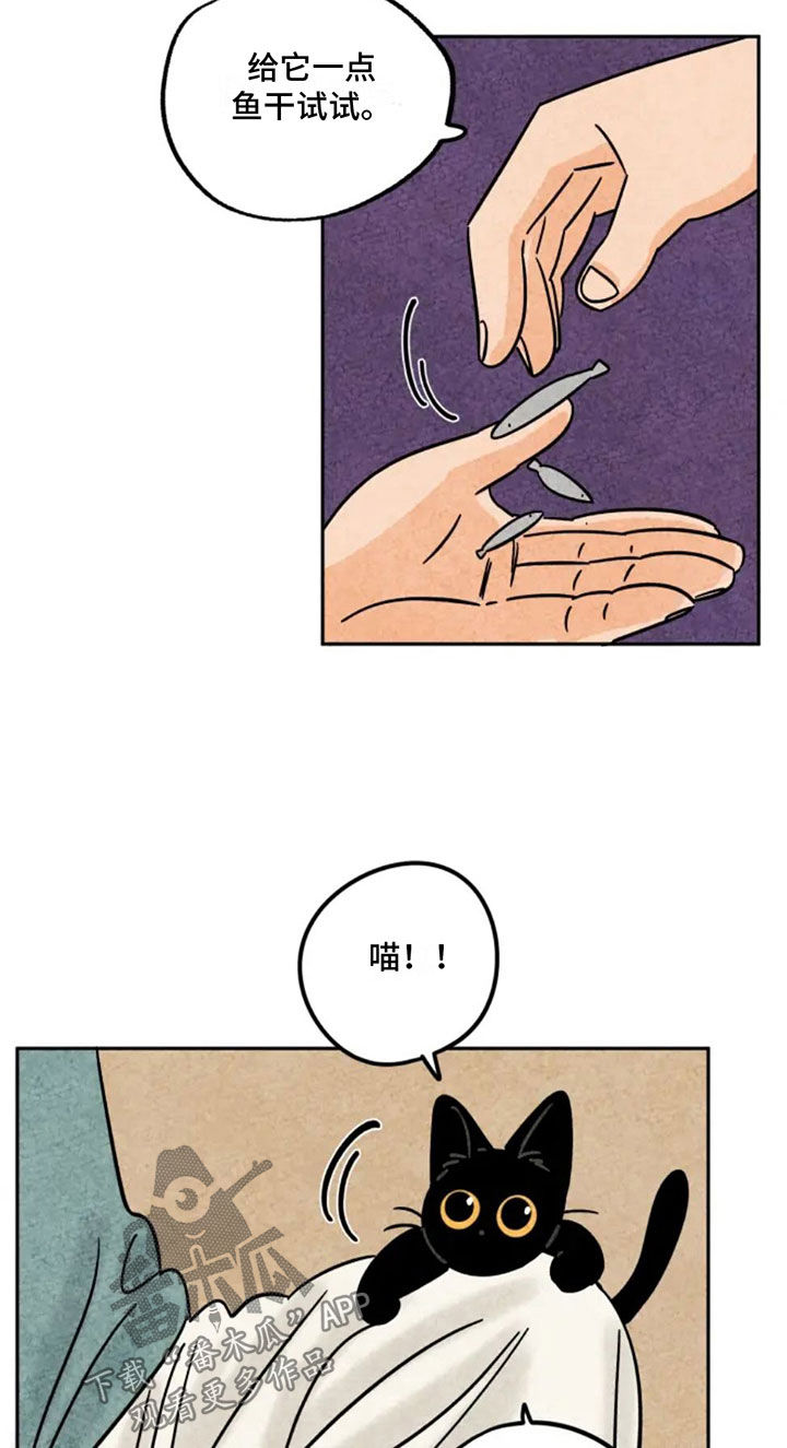 金福的故事哪里看漫画,第87话2图