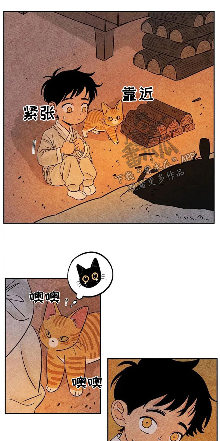 金福的猕猴桃漫画,第76话2图