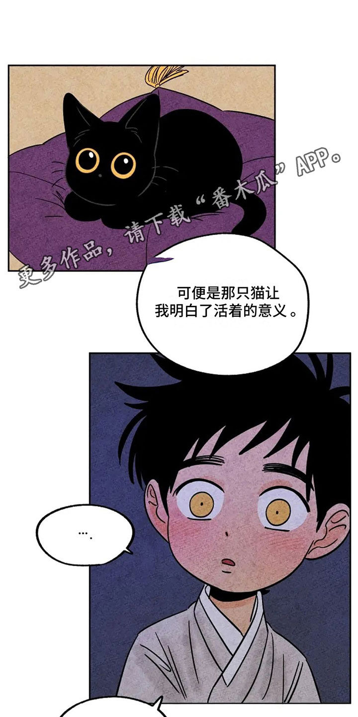 金福南真实的故事解说漫画,第79章：回家1图