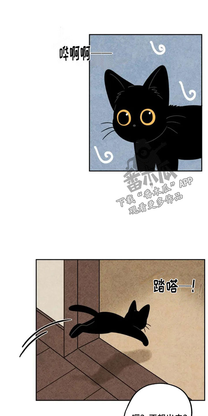 金福的解释漫画,第84话2图