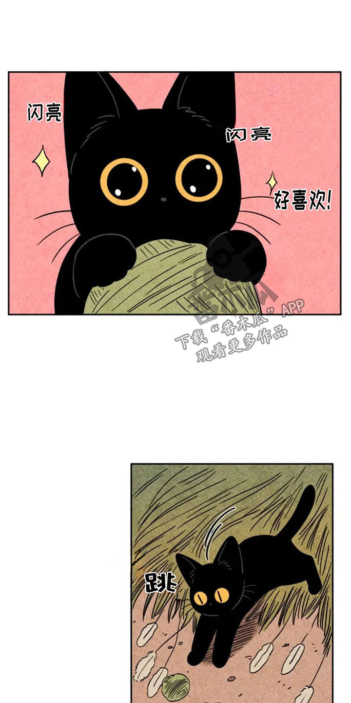 金福南真实的故事解说漫画,第81话2图