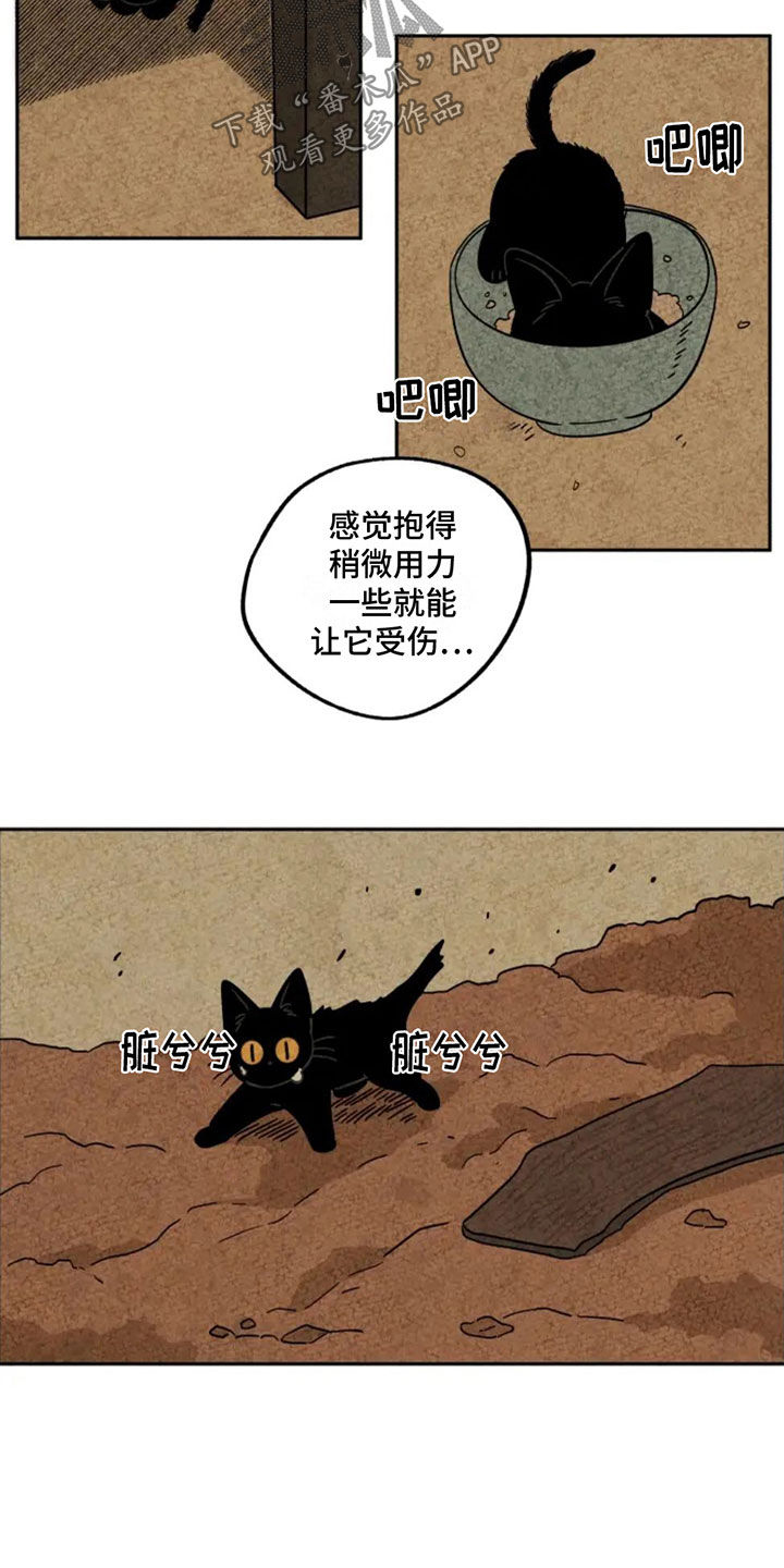 金福源珠宝是正品吗漫画,第81话2图