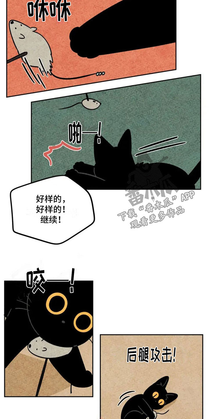 金福的拼音怎么写漫画,第87话1图