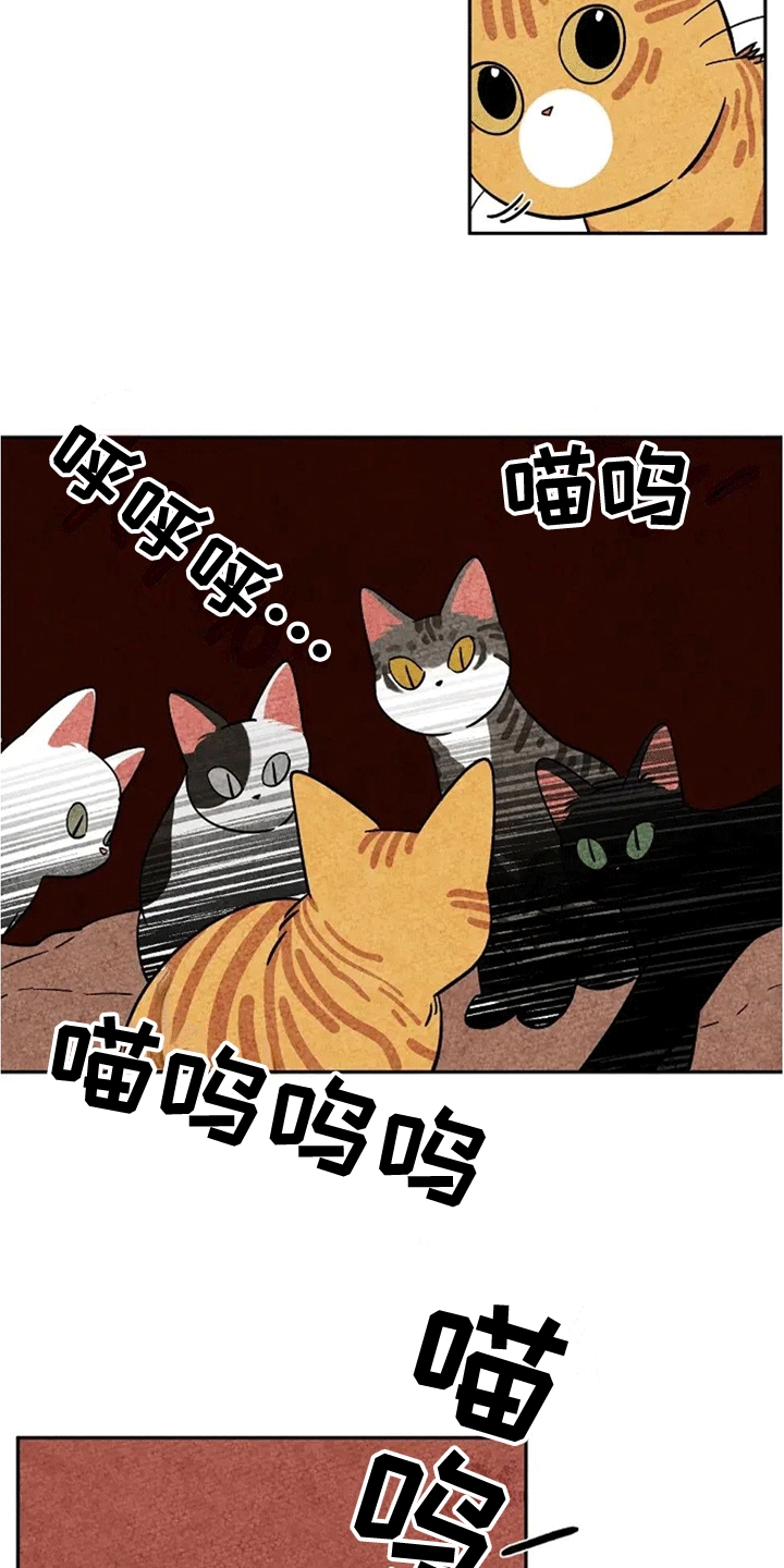 金福的故事 漫画漫画,第62章：成长2图