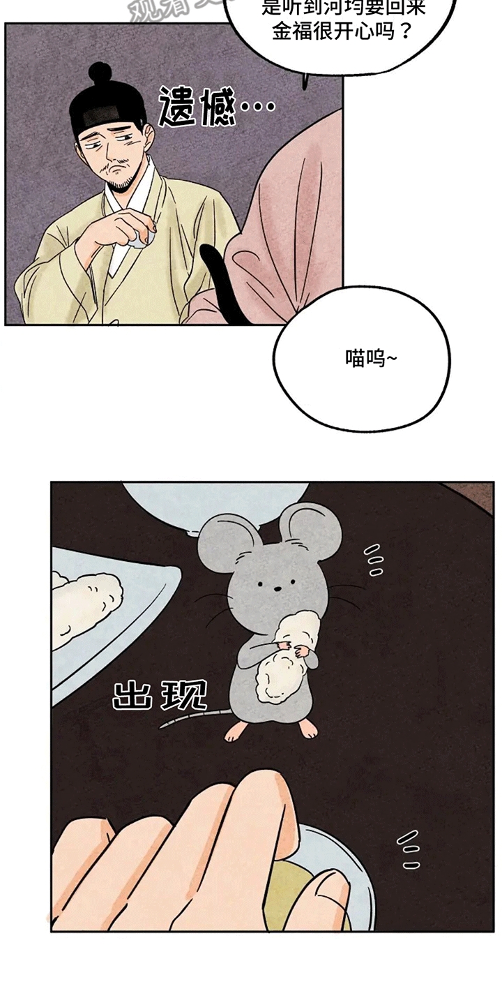 金福南真实的故事解说漫画,第74章：鼠鼠2图