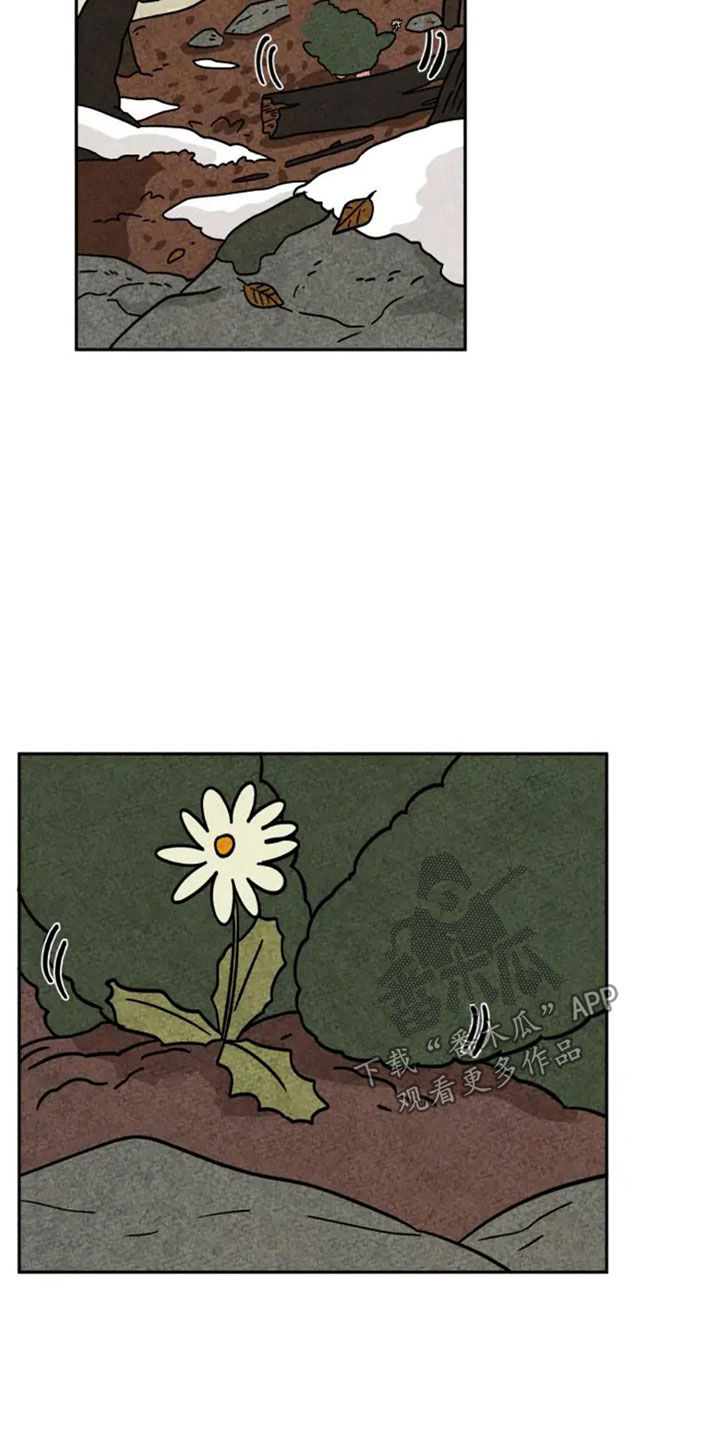 金福是什么书里的人物漫画,第94话1图