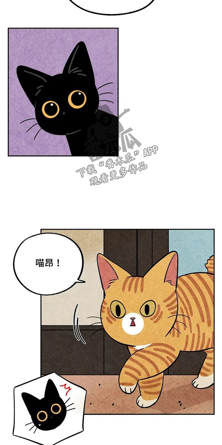 金福的故事怎么没有结局漫画,第75章：着凉1图