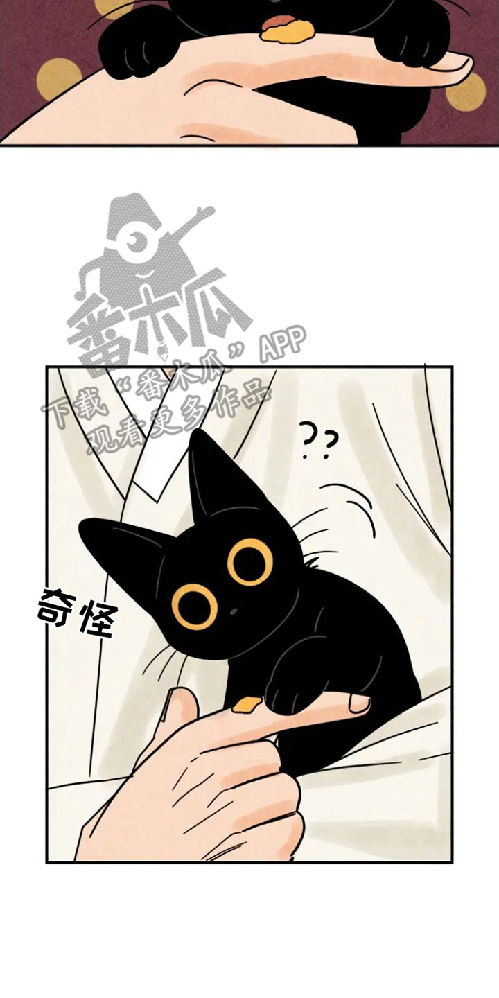 金福与瑞玉猕猴桃哪个品种更好漫画,第27话2图