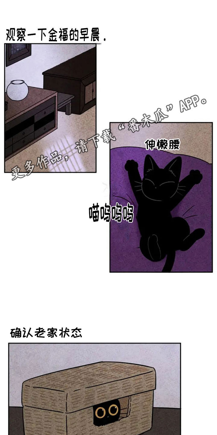 金福南真实的故事有哪些漫画,第86话1图