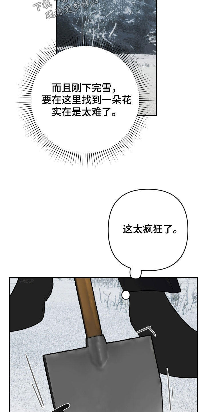 艾露莎的母亲漫画,第46话2图