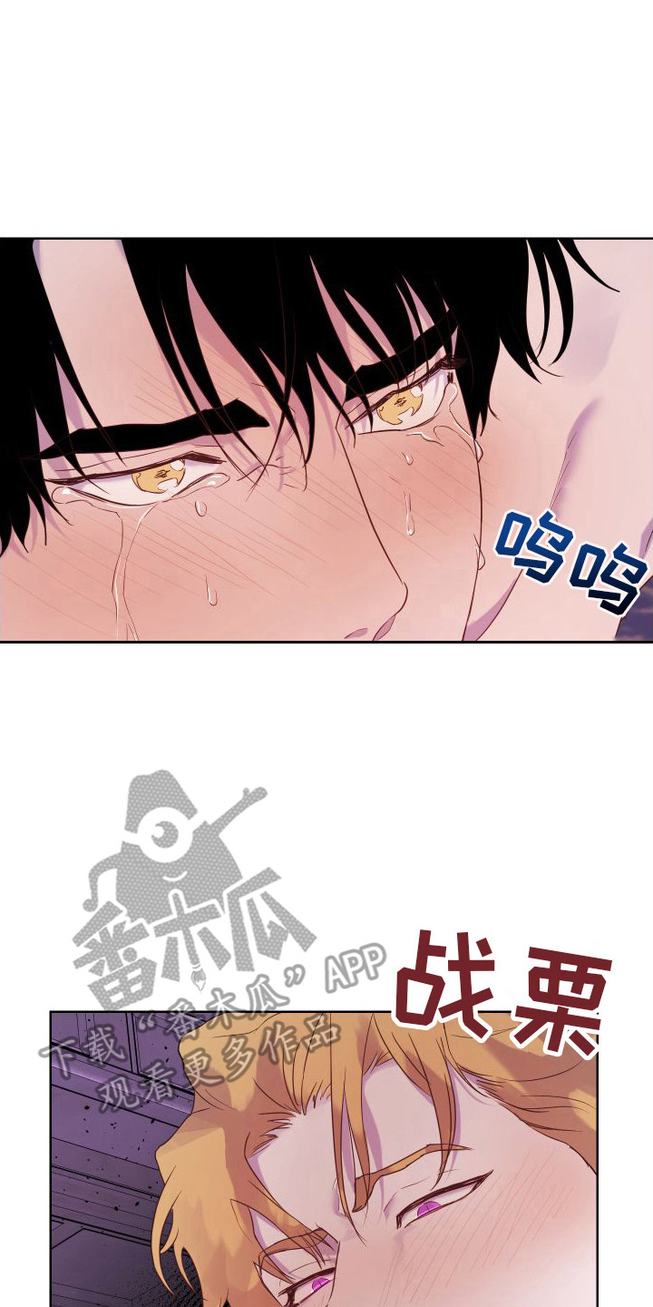 艾露莎之花/阿罗莎之花漫画,第14话1图