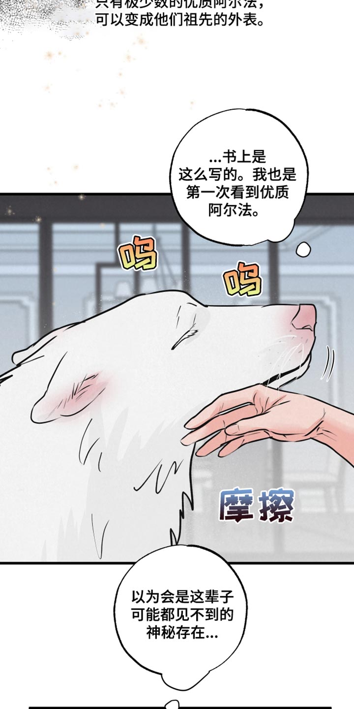 热量狂飙漫画,第15话1图