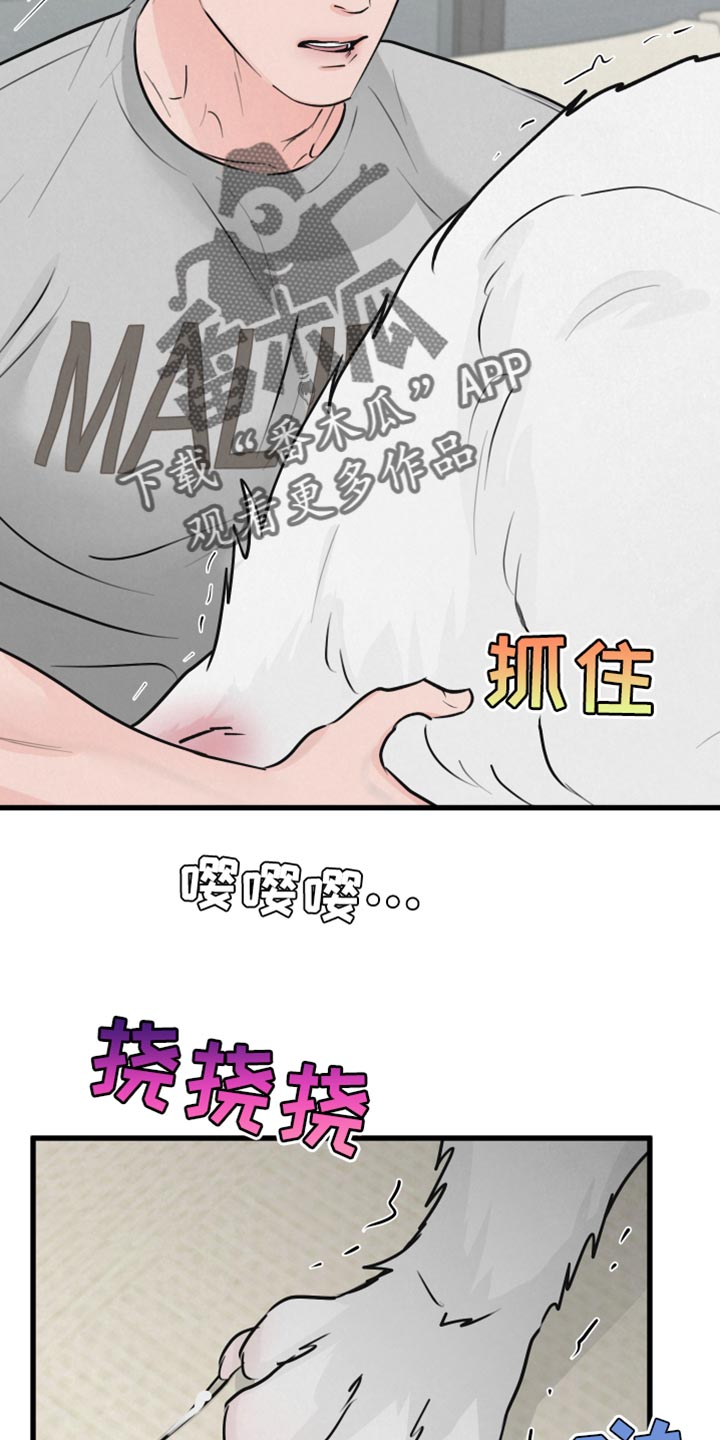 热量狂飙漫画,第15话2图