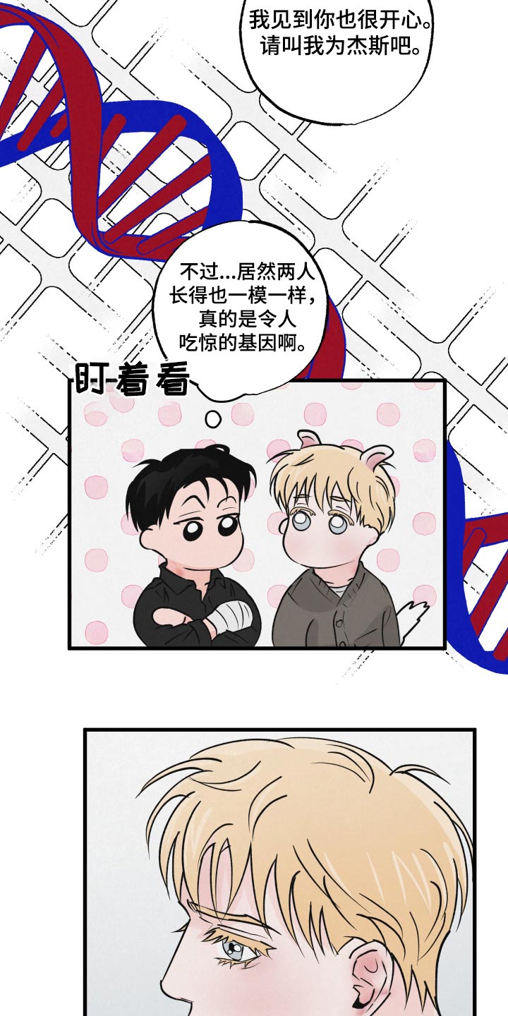 狂飙啤酒热量漫画,第39话2图