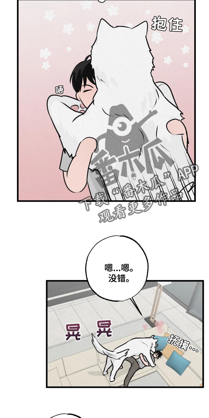 热量狂飙漫画,第15话2图